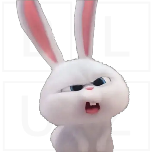 Conejo Snowball 