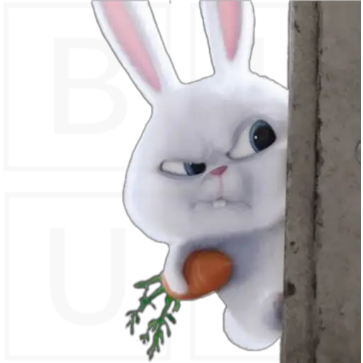 Conejo Snowball 