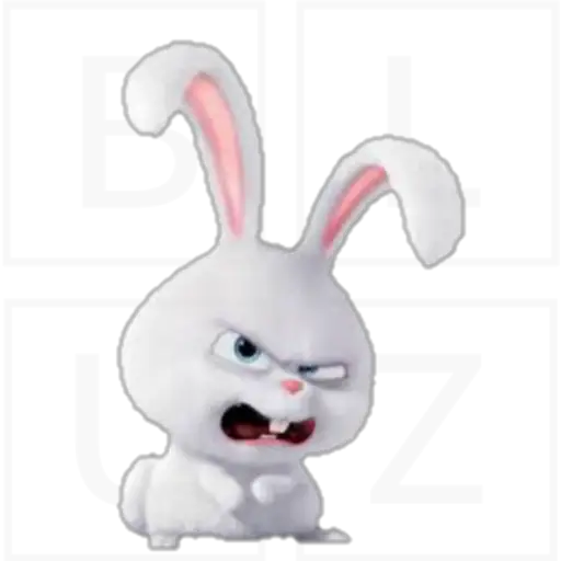 Conejo Snowball 