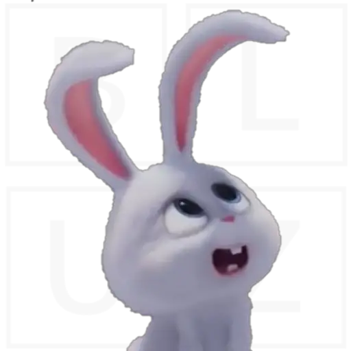 Conejo Snowball 
