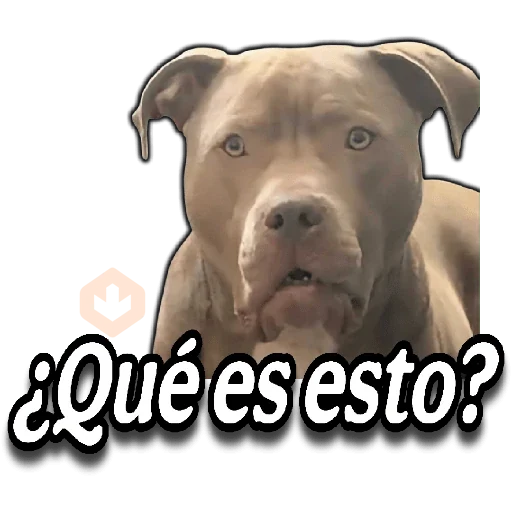 🤣Memes💥Trending😂4️⃣ sticker 11
