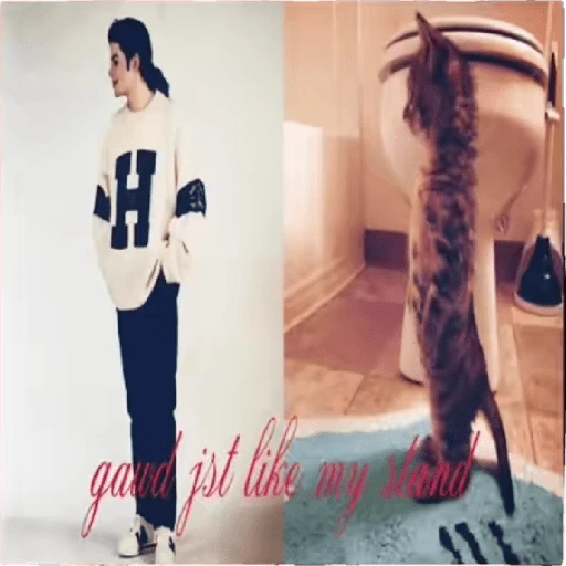 Michael Jackson