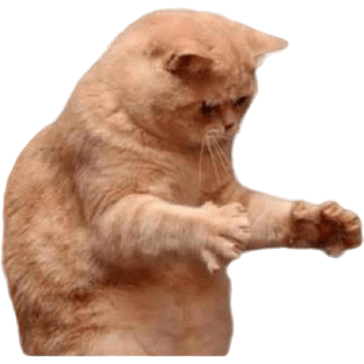 Cats and dogs preview