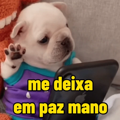 pibble meme