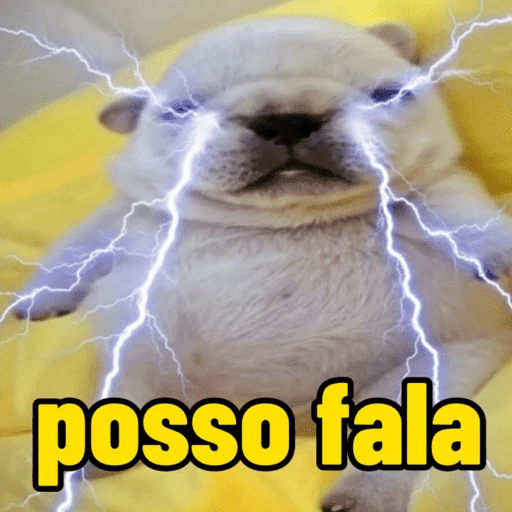 pibble meme