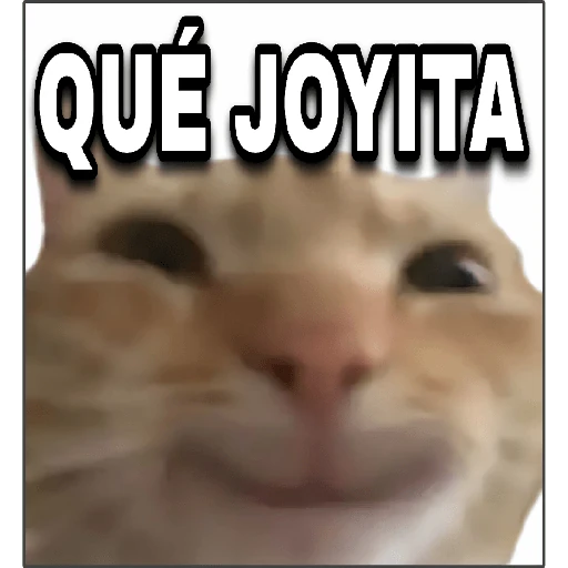 🤣Bloque de Memes/TikTok2️⃣