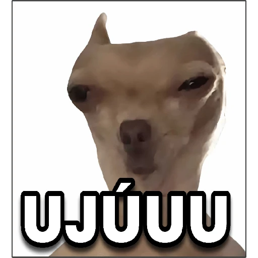 🤣Bloque de Memes/TikTok2️⃣