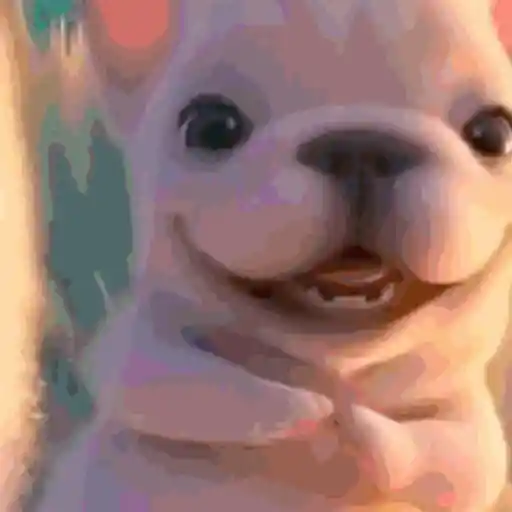 Perro Pibble 𝒯ℴ𝒹𝒶𝓎 🐾✨