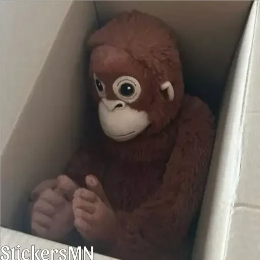 🐵Stuffed Monkey 🐒 @Stickers_MN