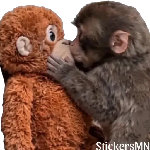 🐵Stuffed Monkey 🐒 @Stickers_MN
