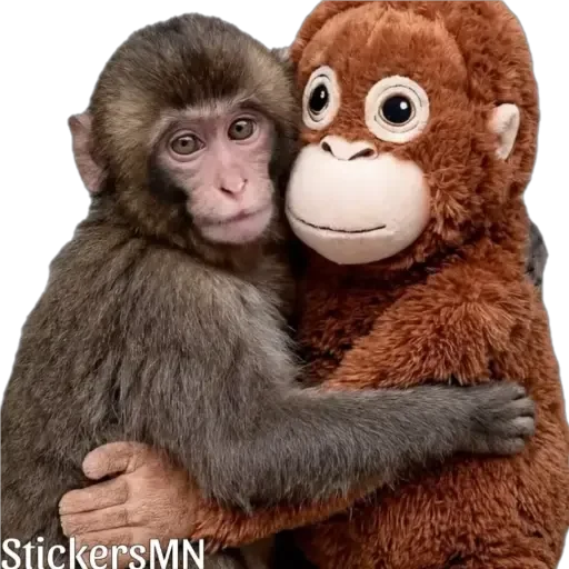 🐵Stuffed Monkey 🐒 @Stickers_MN