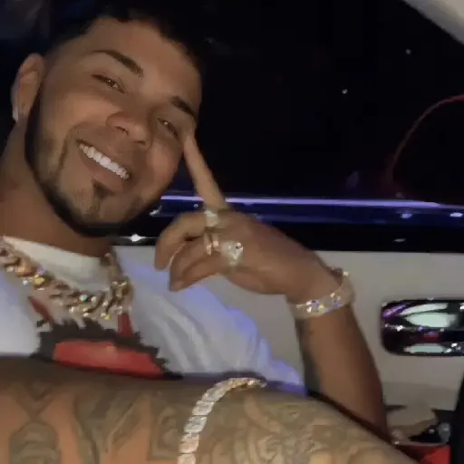 🎶🎙😎 ANUEL AA 2 😎🎙🎶 preview