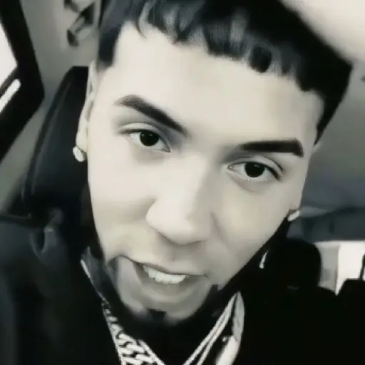 🎶🎙😎 ANUEL AA 2 😎🎙🎶