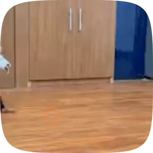 ⚡ 𝕮𝖍𝖗𝖎𝖘𝖙𝖎𝖆𝖓 ⚡ Video Steal Pack 1 sticker 30