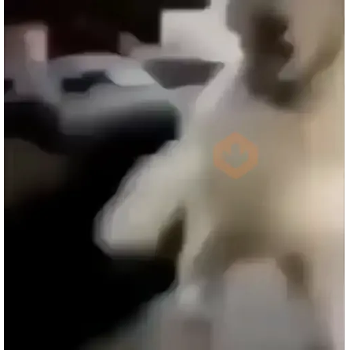 ⚡ 𝕮𝖍𝖗𝖎𝖘𝖙𝖎𝖆𝖓 ⚡ Video Steal Pack 1 sticker 20