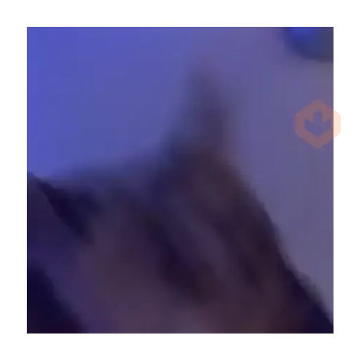 ⚡ 𝕮𝖍𝖗𝖎𝖘𝖙𝖎𝖆𝖓 ⚡ Video Steal Pack 1 sticker 14