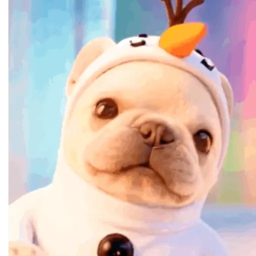 Pibble,perro viral TikTok✨🐾