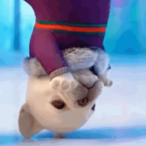 Pibble,perro viral TikTok✨🐾