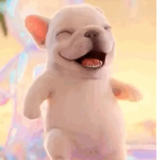 Pibble,perro viral TikTok✨🐾 preview