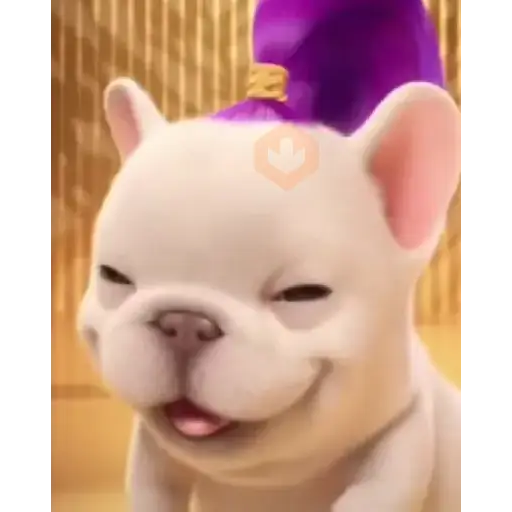 pibble perro2 Tiktok 😎