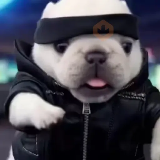 pibble perro2 Tiktok 😎