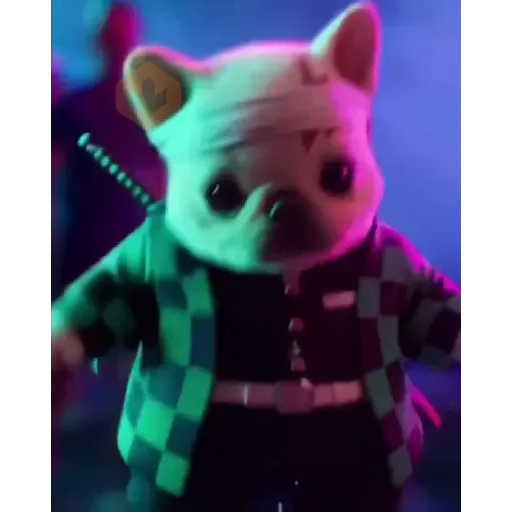 pibble perro2 Tiktok 😎