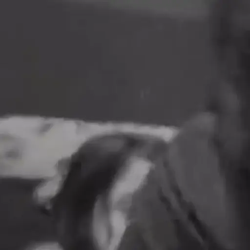 saludame a tu tía 2🎤🎵 ahhhhh preview