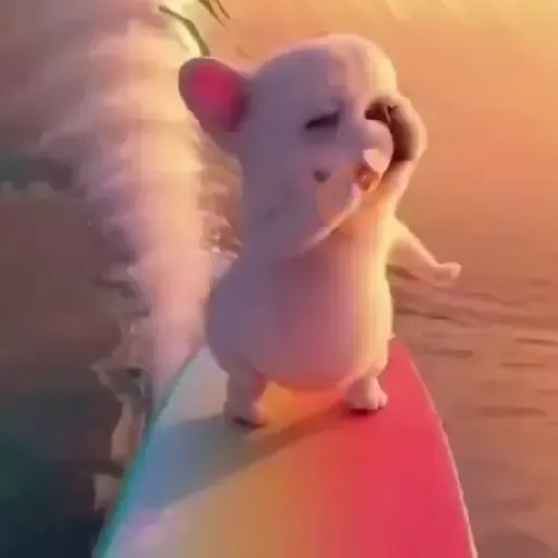 🧿 Pibble the dog🐕🐶
