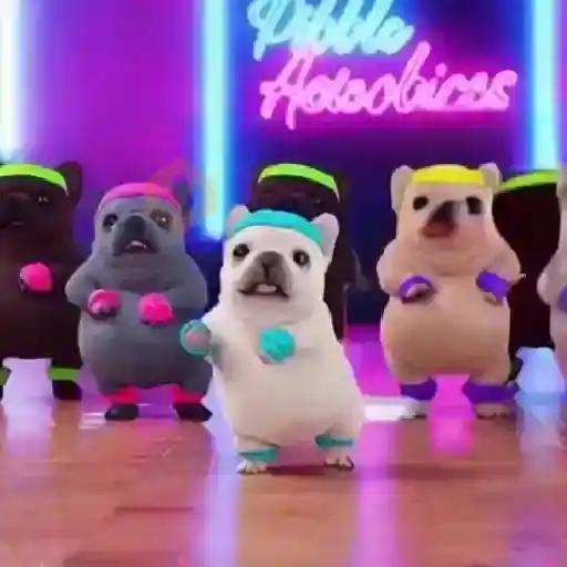 🧿 Pibble the dog🐕🐶