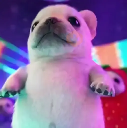 🧿 Pibble the dog🐕🐶