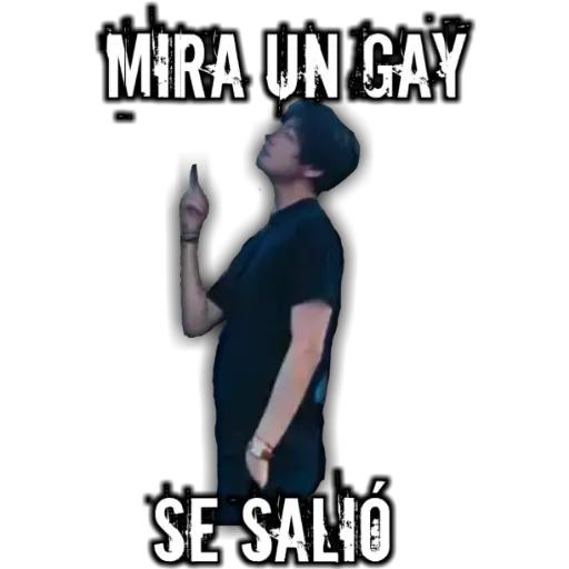 #13 memes variados 