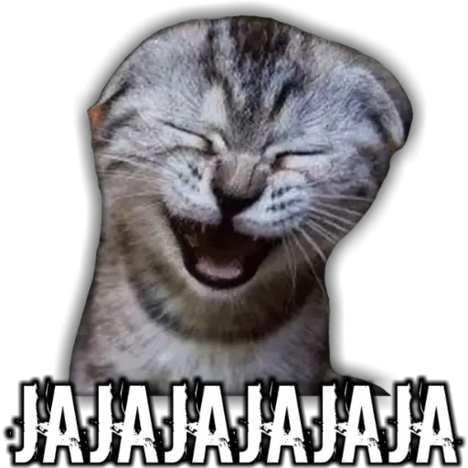 #13 memes variados 