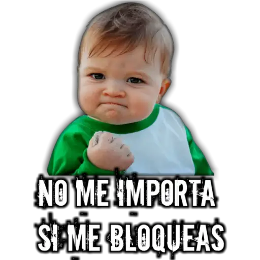 #13 memes variados 