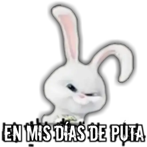 #13 memes variados 