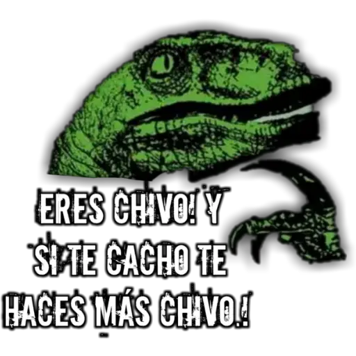 #13 memes variados  preview