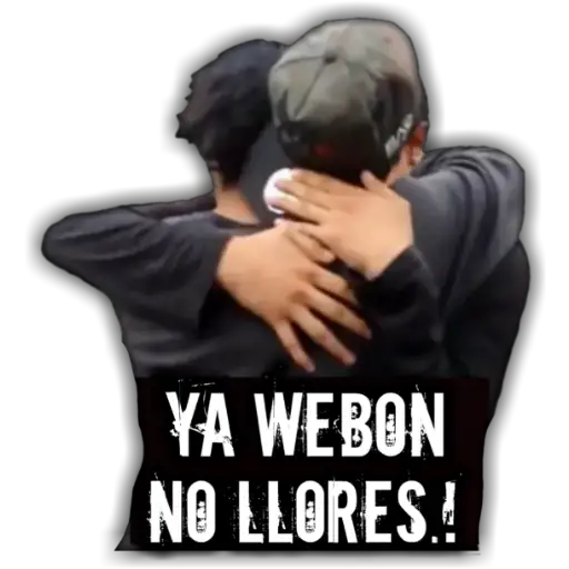 #13 memes variados 