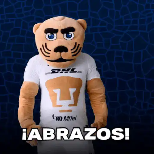 pumas goyo mx