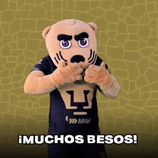 pumas goyo mx preview