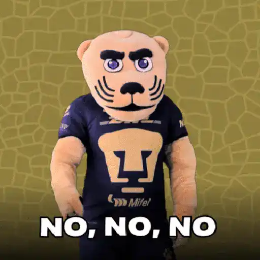 pumas goyo mx