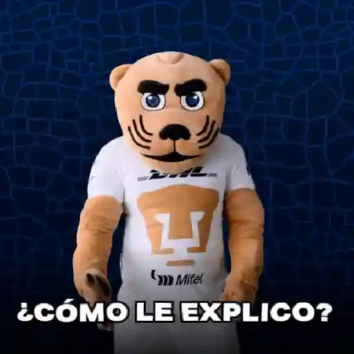 pumas goyo mx