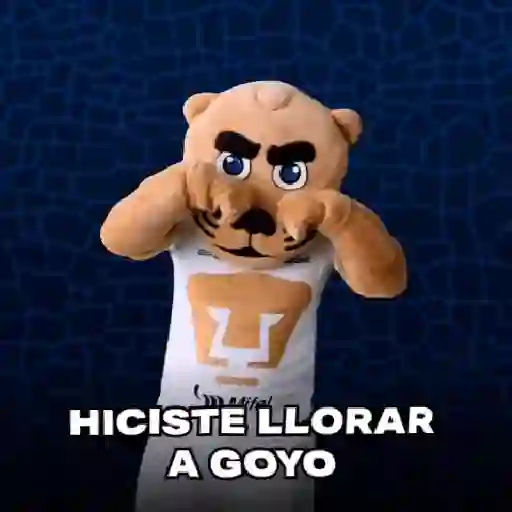 pumas goyo mx