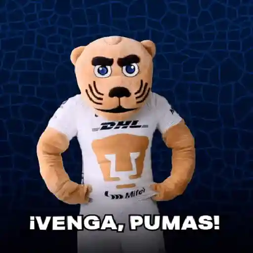 pumas goyo mx