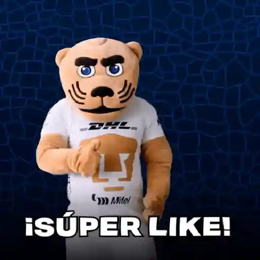 pumas goyo mx