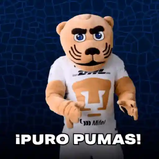 pumas goyo mx