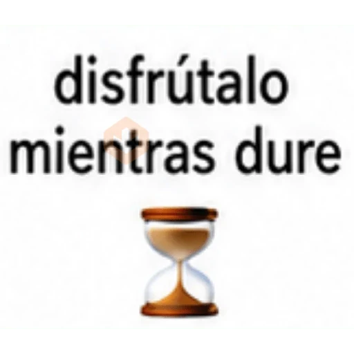 Frases Textos Brat pa la zorra