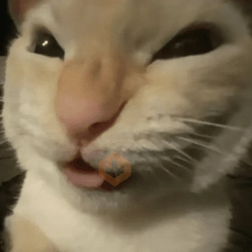 Tiktok cometarios🔥🔥 sticker 21