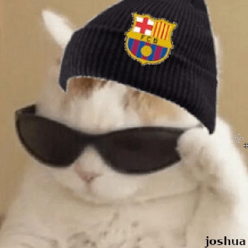 BARCELONA❤️💙