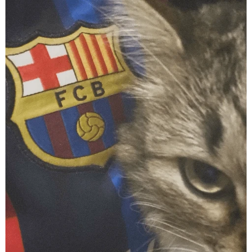 BARCELONA❤️💙