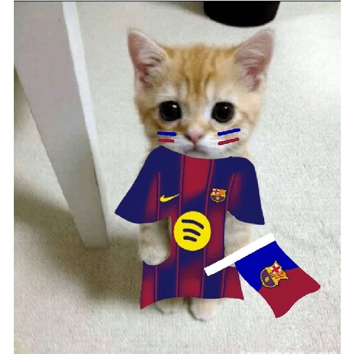BARCELONA❤️💙