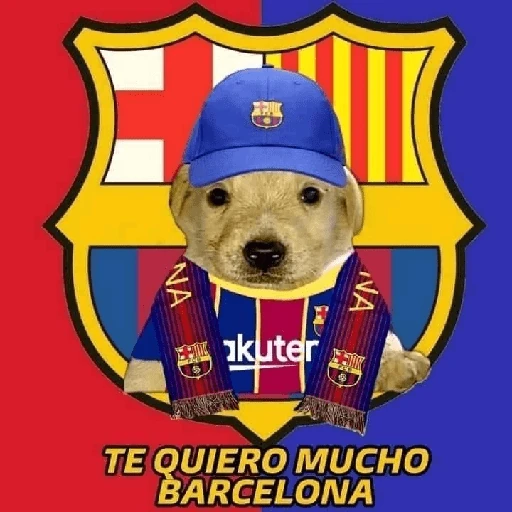 BARCELONA❤️💙